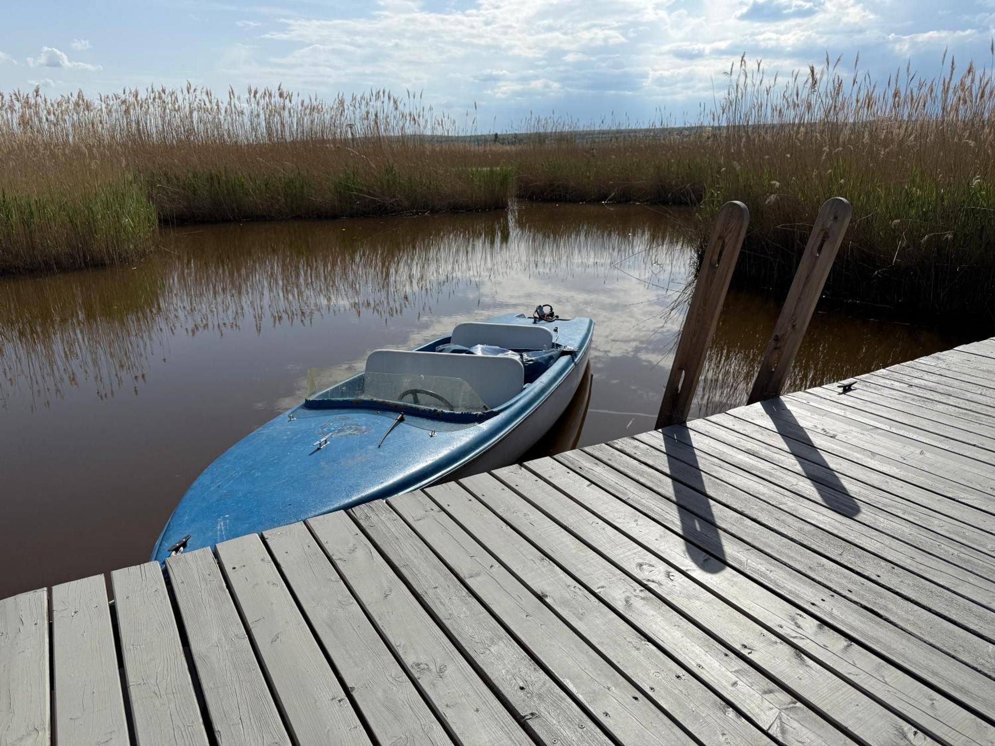 רוסט Seehuette Neusiedlersee - Strandhaus, Elektroboot Inklusive מראה חיצוני תמונה